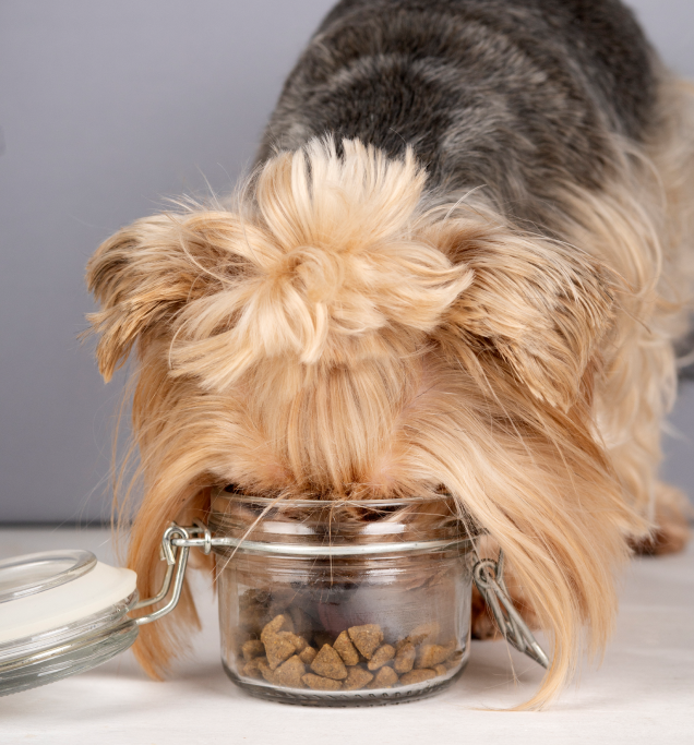 Healthy Treats - Image 2